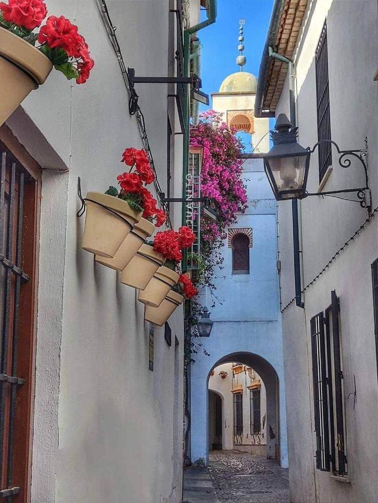 Precioso Loft El Arcangel Junto A La Ribera Cordoba Exterior photo